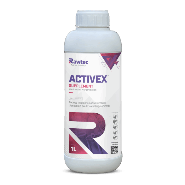 ACTIVEX