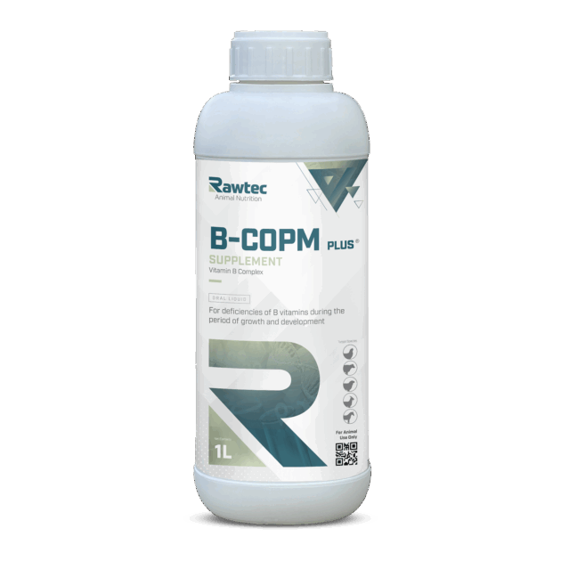 B-COPM PLUS