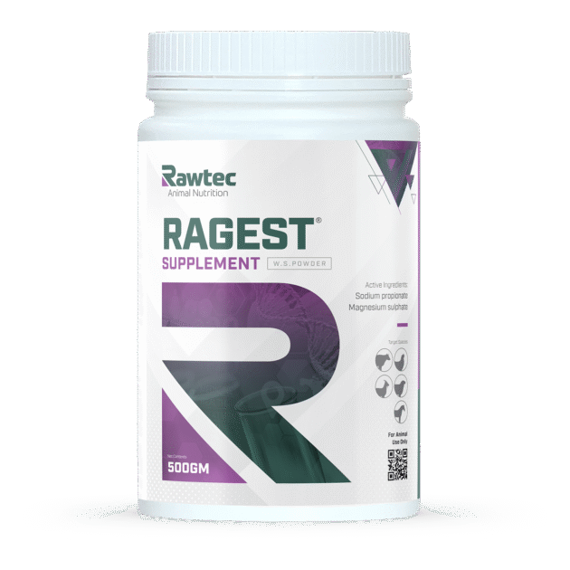 RAGEST