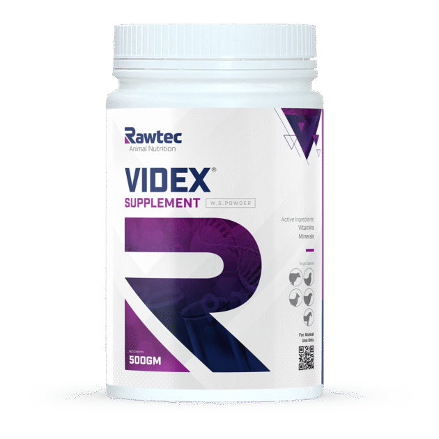VIDEX