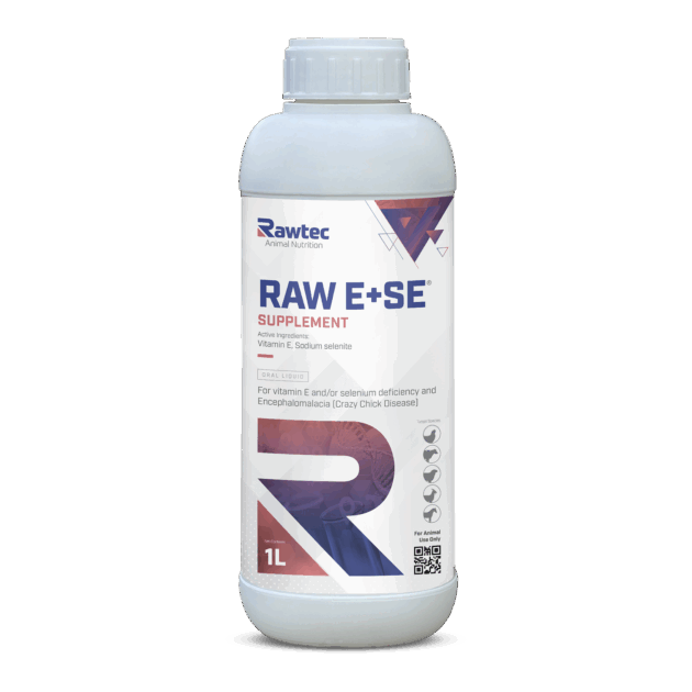 RAW E+SE