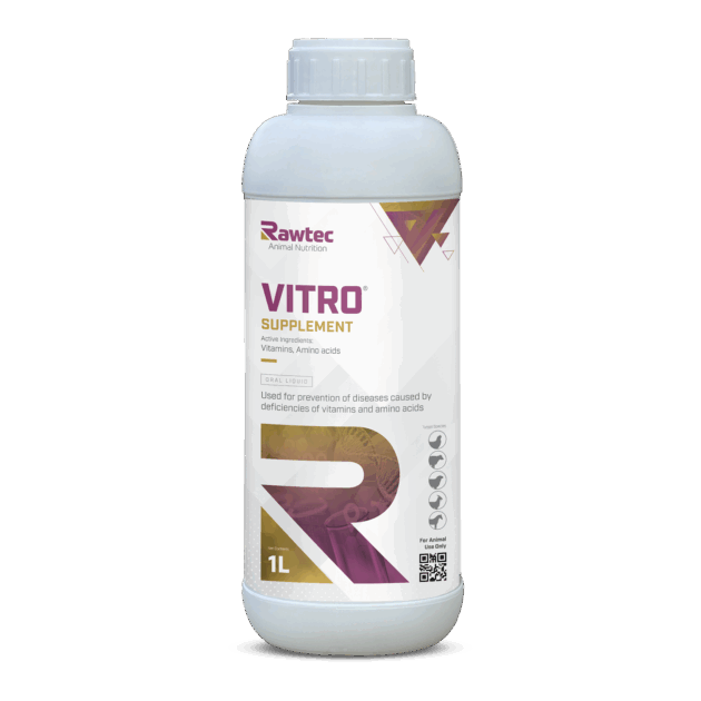 VITRO