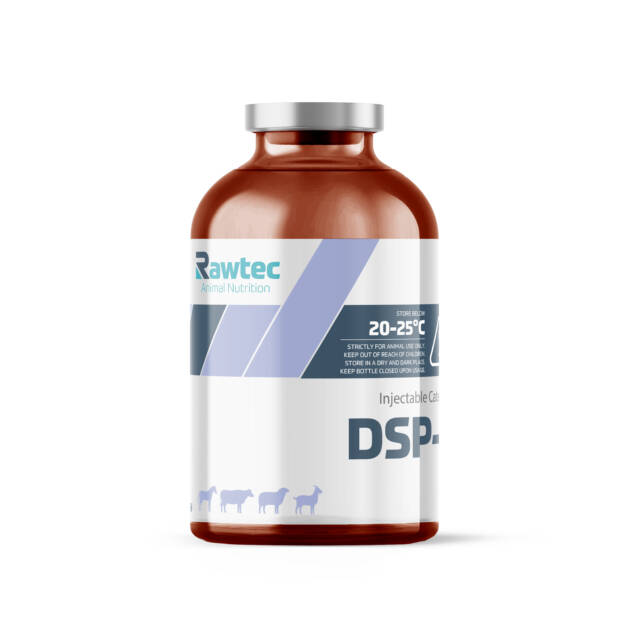 DSP-2